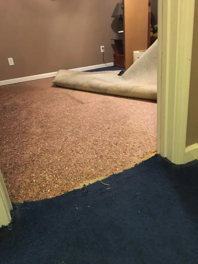 Carpet pad removal revealing water damage during Drying & Dehumidification in Harper Woods