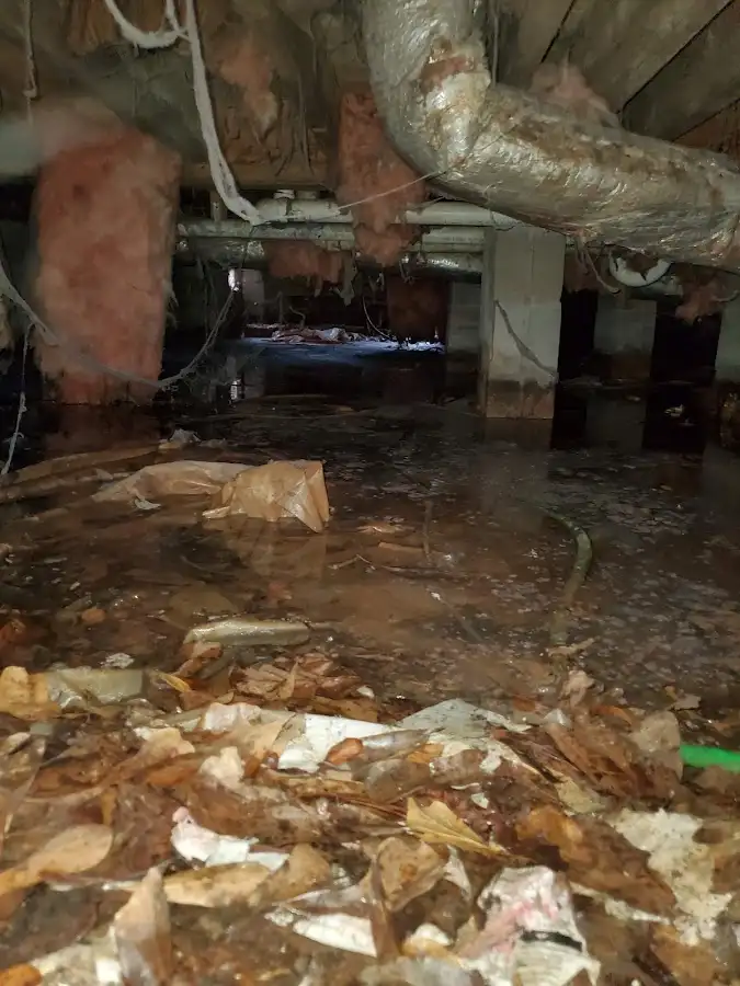 Crawl space flood assessment for Leak Detection & Repair in Harper Woods